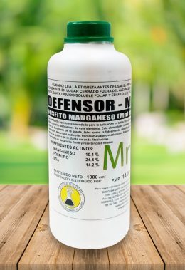 defensor-mn