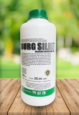 rosburg-sililo