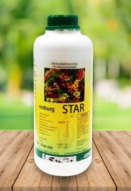 rosburg-star